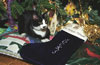 socks-the-cat-100